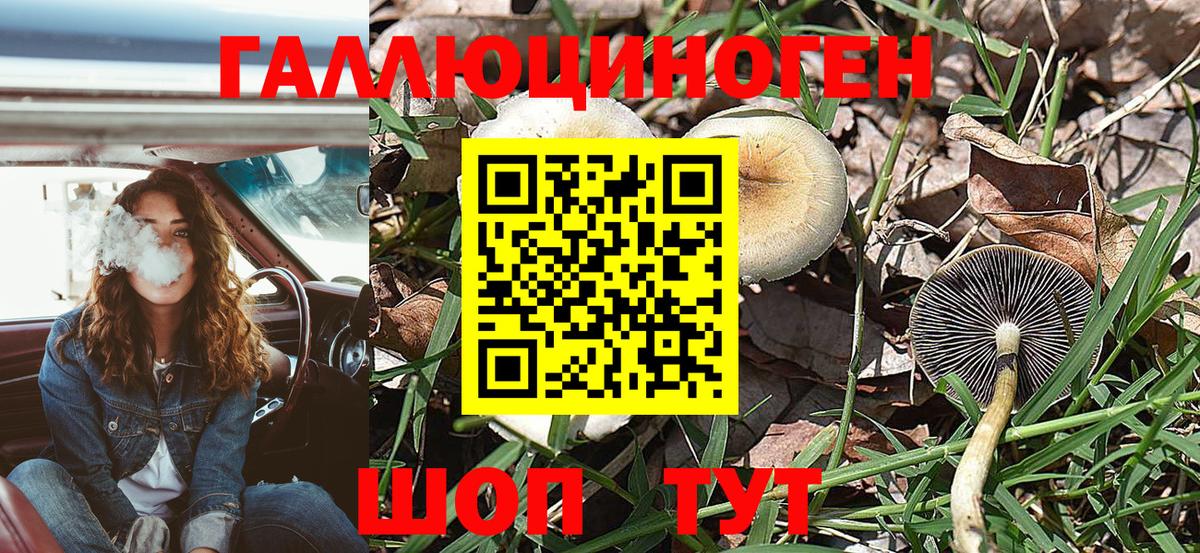 Псилоцибиновые грибы Psilocybine cubensis  Галлюциногенные грибы ЛСД  Вход с VPN  Ивантеевка 