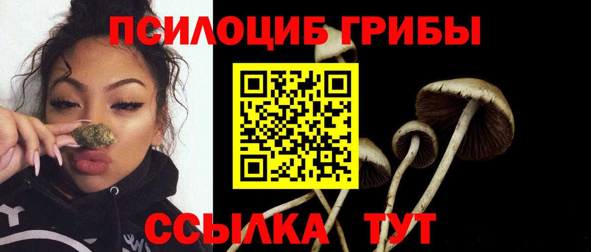 Галлюциногенные грибы GOLDEN TEACHER  Галлюциногенные грибы Psilocybe  Ивантеевка 